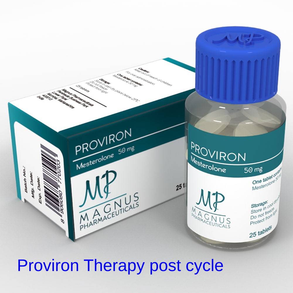 Proviron Therapy post cycle