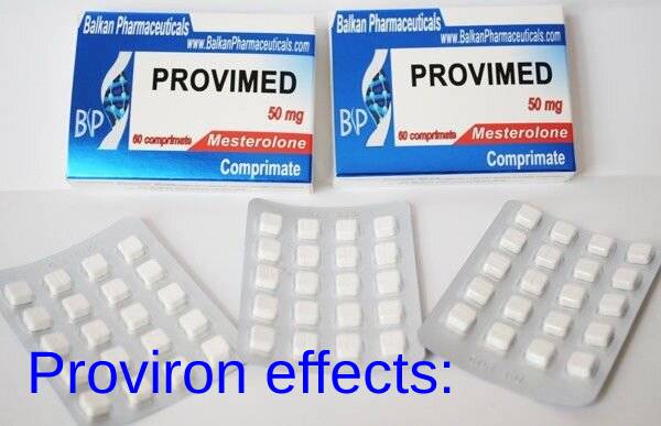 Proviron effects: